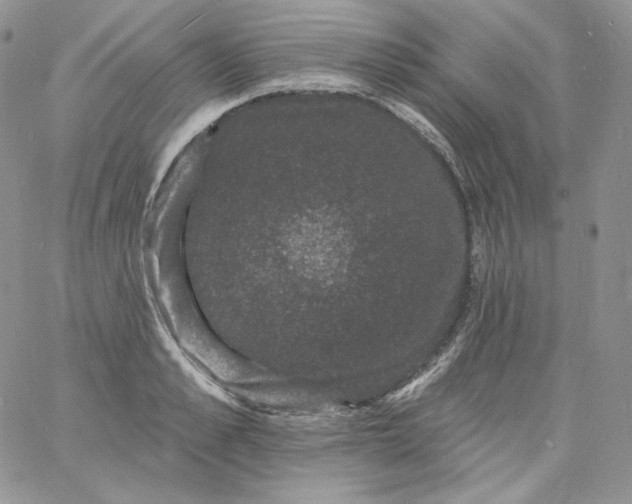 X0000060790989200511241840