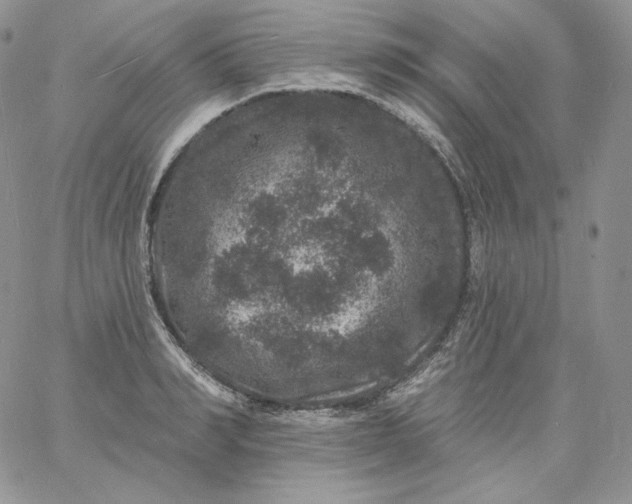 X0000060790990200511241840