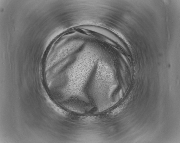 X0000060790991200511241840