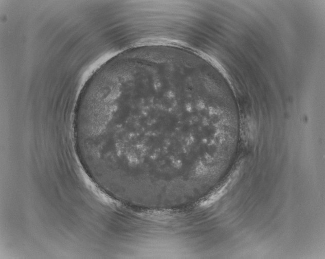 X0000060790995200511241840