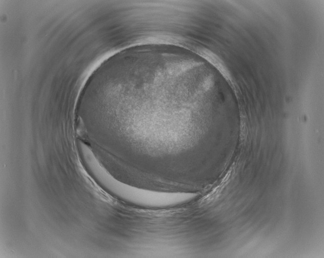 X0000060790996200511241840