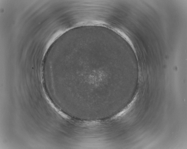 X0000060790997200511241840