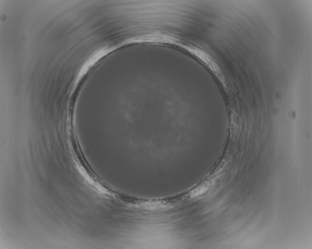 X0000060790998200511241840