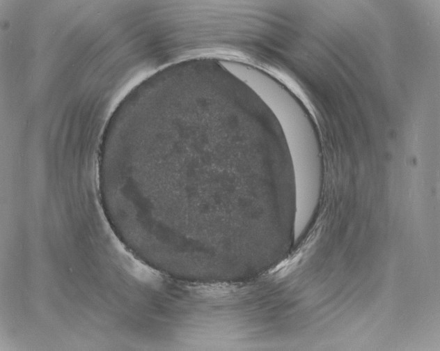 X0000060790999200511241840