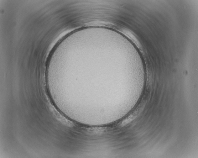 X0000060791000200511241840