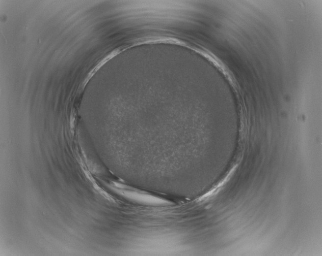 X0000060791001200511241840