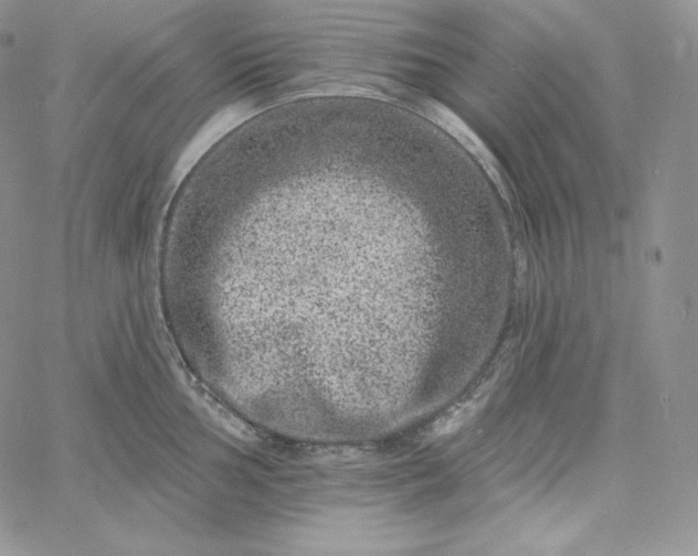 X0000060791002200511241840