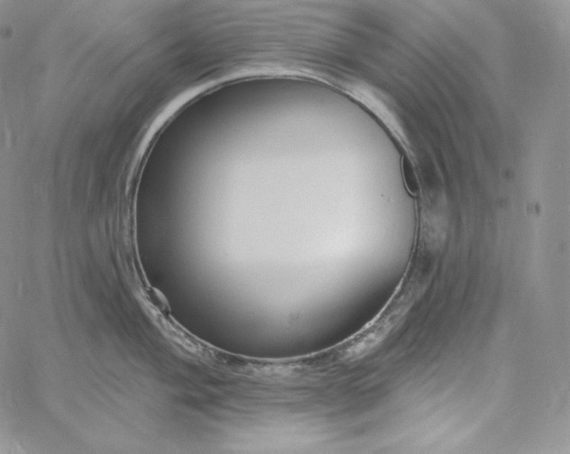 X0000060791004200511241840