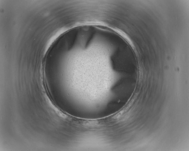 X0000060791006200511241840