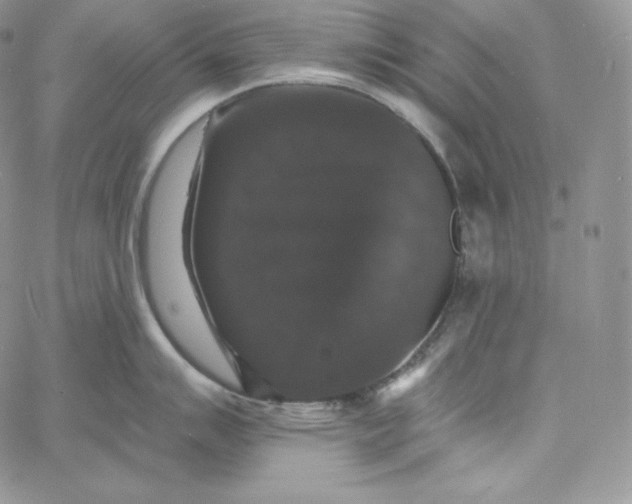 X0000060791007200511241840