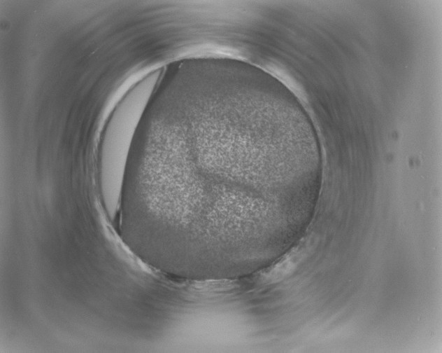 X0000060791008200511241840