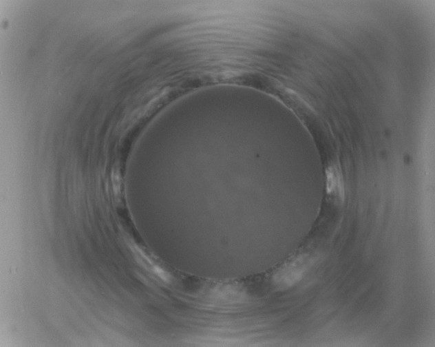 X0000060791011200511241839