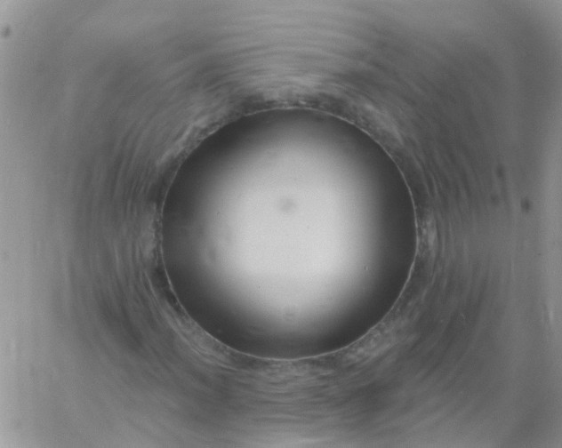 X0000060791012200511241839