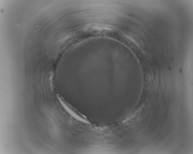 X0000060791013200511241839