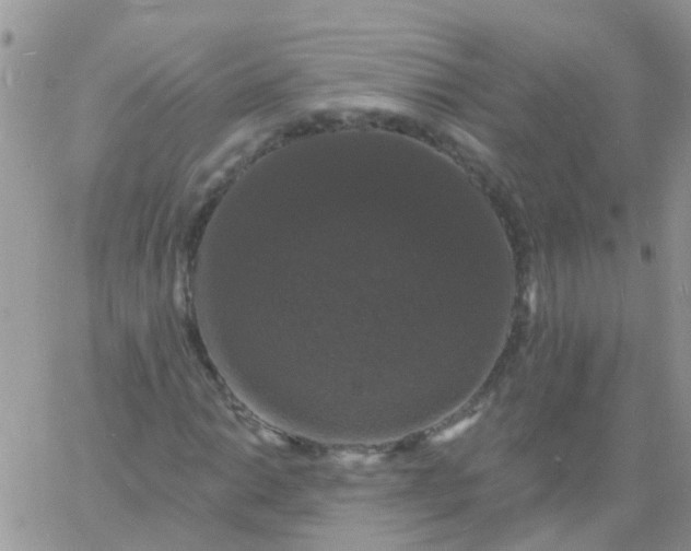 X0000060791014200511241839