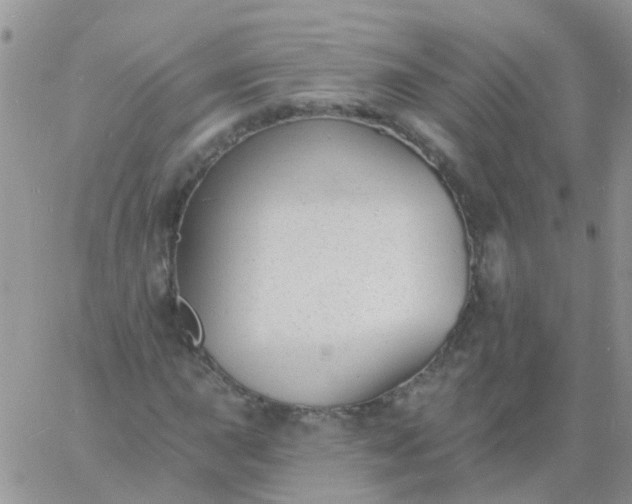 X0000060791015200511241839