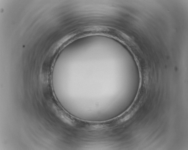 X0000060791017200511241839