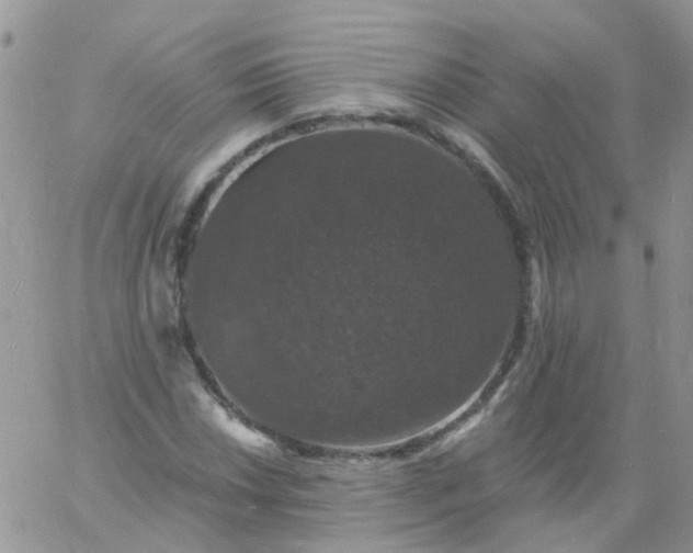 X0000060791018200511241839