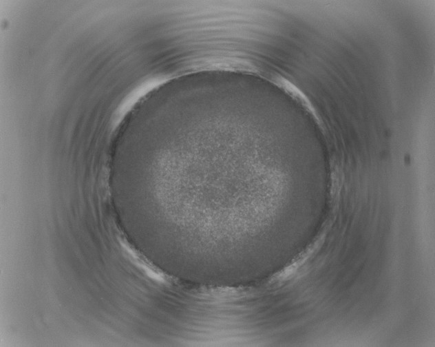 X0000060791019200511241839