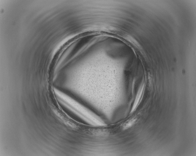 X0000060791020200511241839