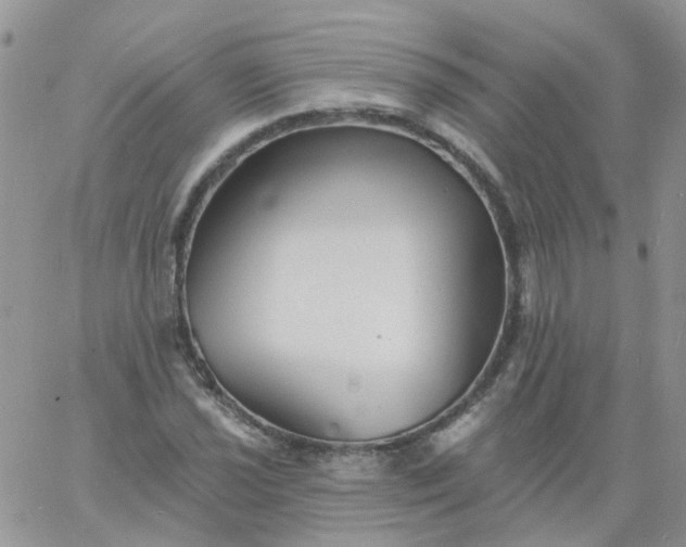 X0000060791021200511241840