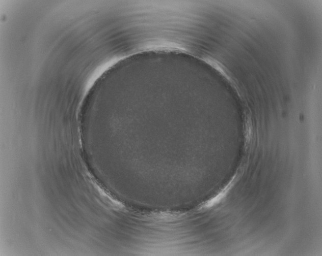 X0000060791022200511241840