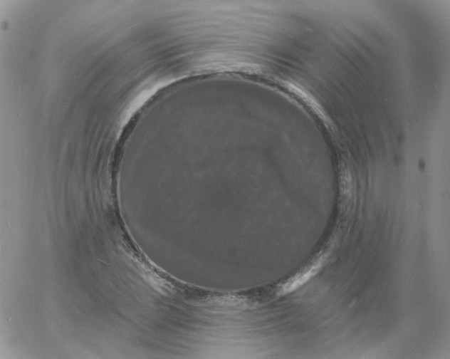 X0000060791023200511241840