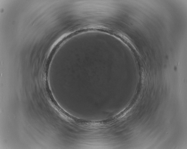 X0000060791024200511241840