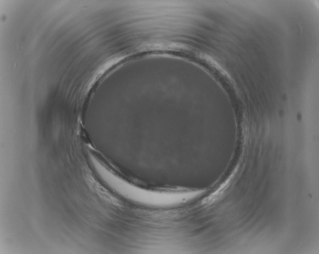 X0000060791025200511241840