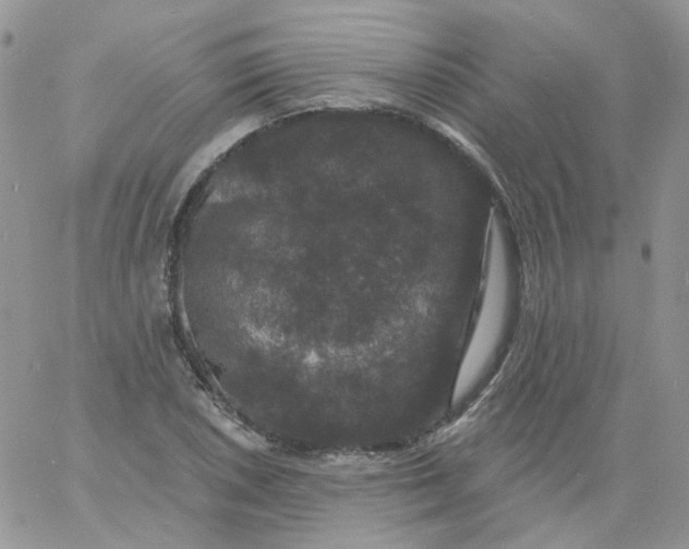 X0000060791026200511241840