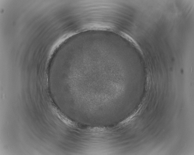 X0000060791027200511241840