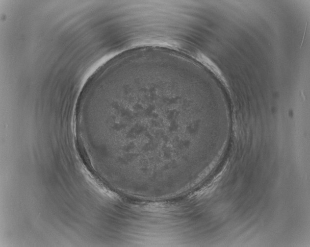 X0000060791028200511241840