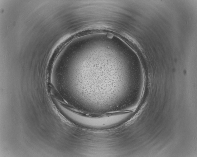 X0000060791029200511241840