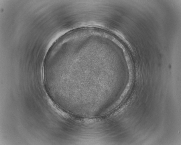 X0000060791032200511241840