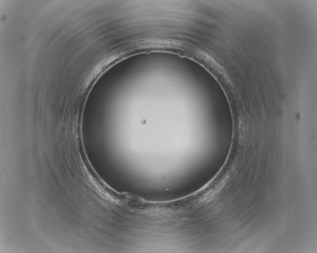 X0000060791033200511241840