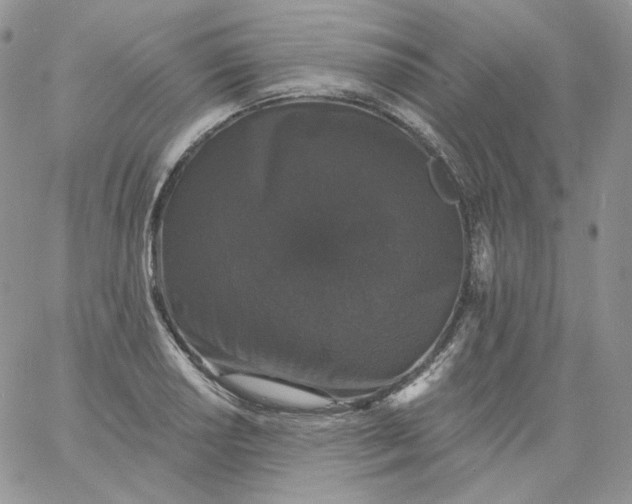 X0000060791034200511241840