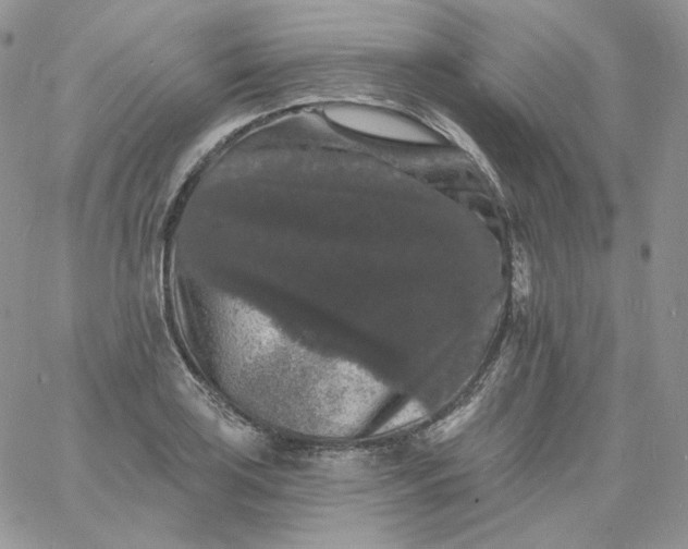 X0000060791035200511241840