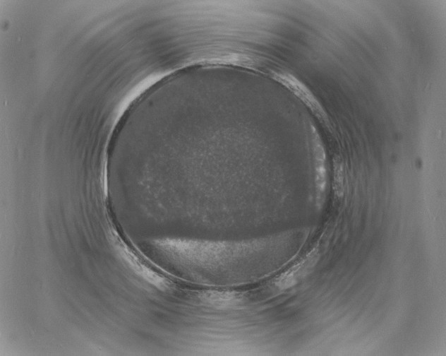 X0000060791036200511241840