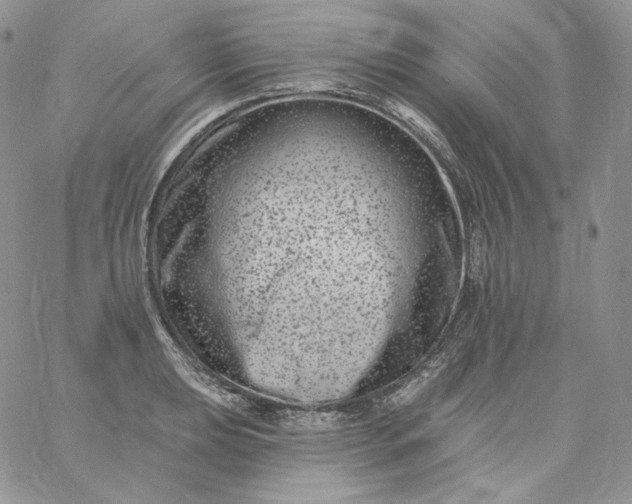 X0000060791039200511241840