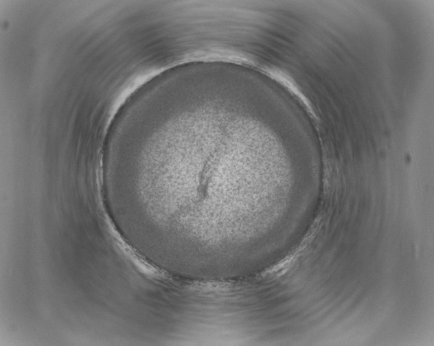 X0000060791040200511241840