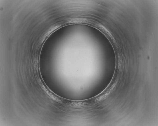 X0000060791041200511241840