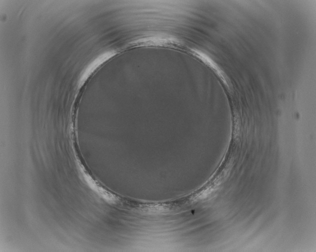 X0000060791042200511241840