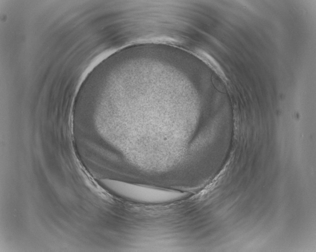 X0000060791044200511241840