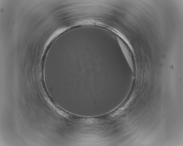 X0000060791045200511241840