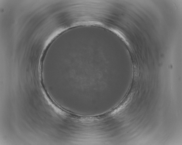 X0000060791046200511241840