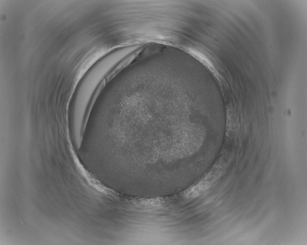 X0000060791047200511241840