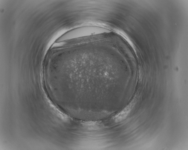 X0000060791048200511241840