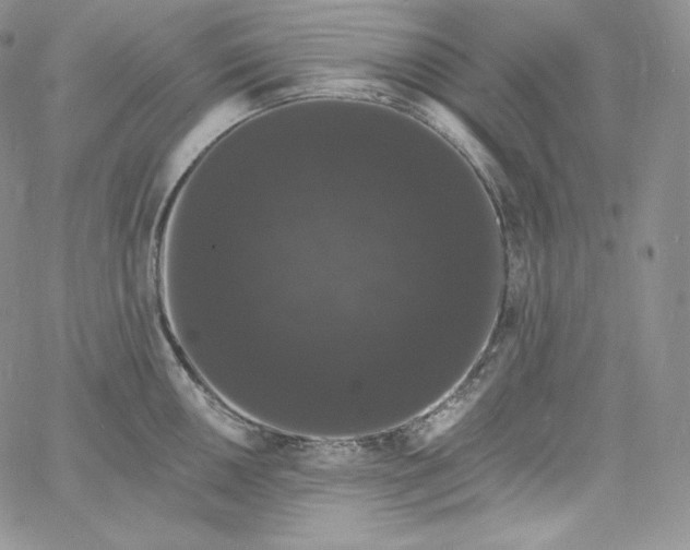 X0000060791050200511241840