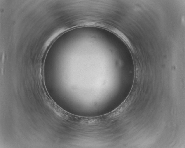 X0000060791051200511241840