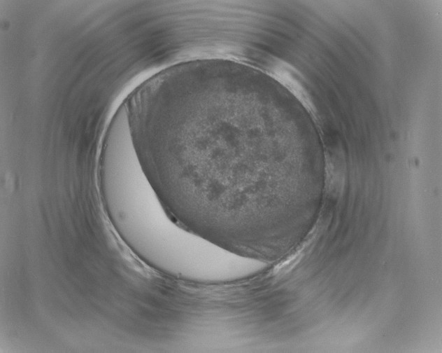 X0000060791052200511241840